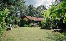 Villa Verde